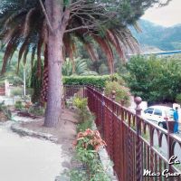 cloture collioure 2 forge catalane