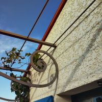 Treille droit filant rond volute d  tail fer Forge Catalane Cabestany
